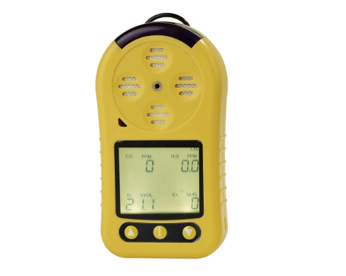 江苏二合一气体检测报警仪检测